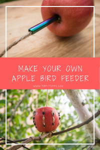 Make your own apple bird feeder. It's really simple adult craft or kids craft which makes great use of any apples you may have which are past their best. Great for the environment and your creativity.