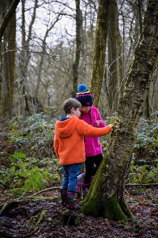 Inspecting nature at Brown Moss